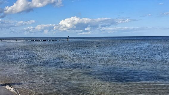 Photo de Matthias Neidhardt le long du parcours