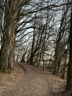 Foto de Hans Niedermeyer a lo largo del recorrido