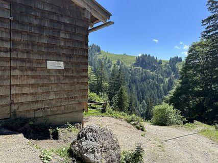 Foto de justasimpleguy a lo largo del recorrido