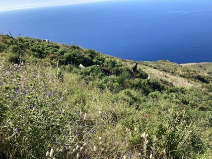 Photo de Wastel 13 le long du parcours
