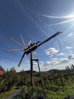 Fotografia z Gerhard Mizelli na trase