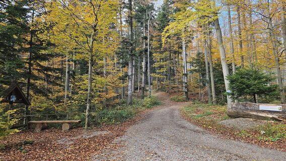 11.4 km Kreuzung mit Marterl