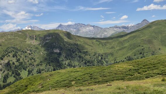 Fotografija s spletne strani Cilli Waldhof na poti