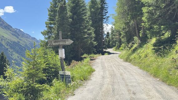 Photo de Gert Hafele 1 le long du parcours