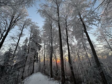 Photo de Raphael Häfliger 1 le long du parcours