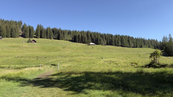 Photo de Peter Burki le long du parcours