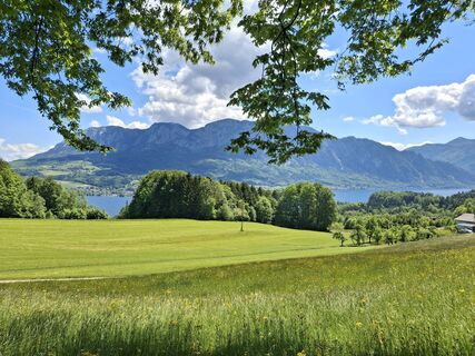 Fotografie z Tatjana Pachinger 1 na trase