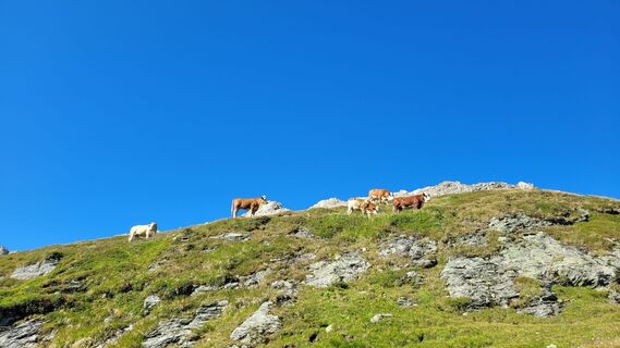 Foto von Juliane Jarke entlang der Tour