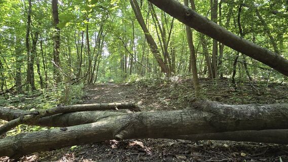 Foto von Hieu Duc Tram entlang der Tour
