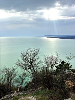 Fotografia z Yojo na trase