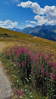 Foto de Fabrizi Mellano a lo largo del recorrido