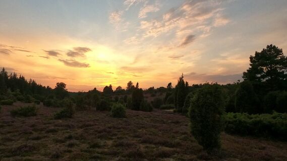 Sonnenuntergang in der Ellerndorfer eide