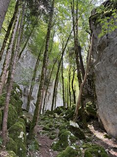 Foto von Jelle Manten entlang der Tour