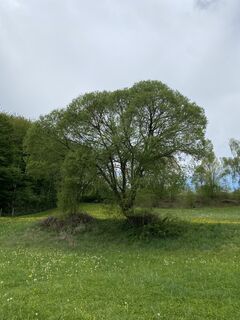 Foto von Friedrich Schlager entlang der Tour