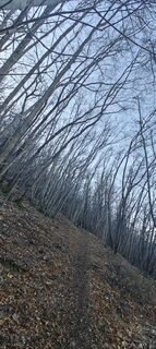 Fotografie z Daniele Spezia na trase