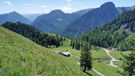 Blick auf Gütenbergalm von etwas oberhalb