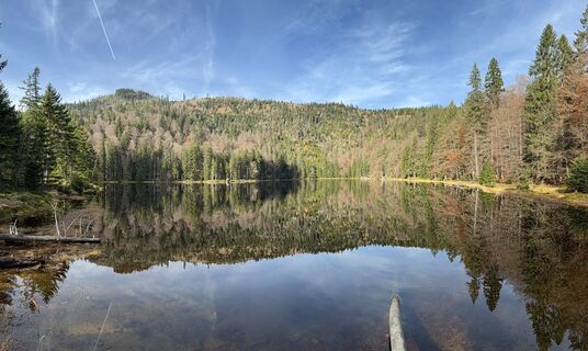 Fotografia z Nikolaus Ludwig 1 na trase