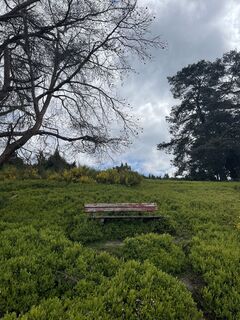 Fotografie z Olaf Mönig na trase