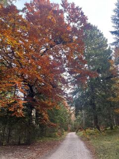 Foto de Max Ammereller a lo largo del recorrido