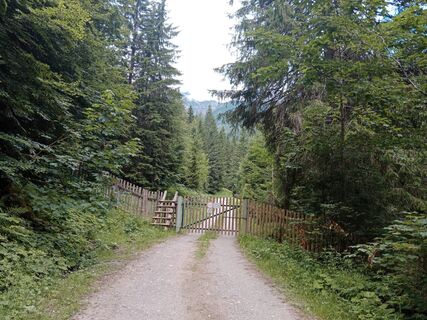 Photo de handshifter le long du parcours