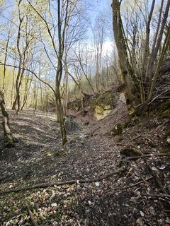 Photo de David Polcz le long du parcours