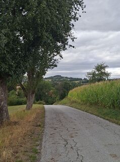 Photo de Ematirdea58 le long du parcours