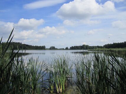 Burgteich bei Kürbitz