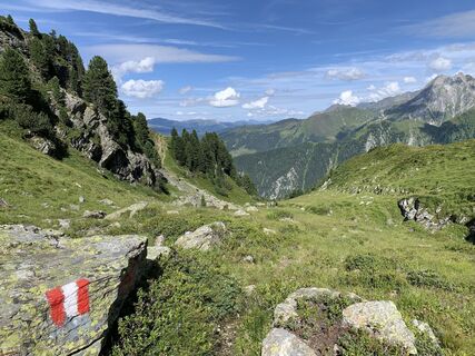 Photo de Koen De Wit le long du parcours