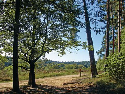 Wahner Heide