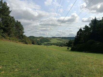 Photo de Peter Kaulen le long du parcours