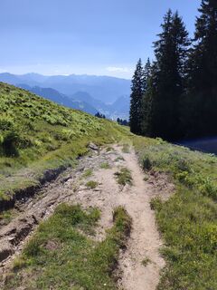 Foto von Peter Seliner entlang der Tour