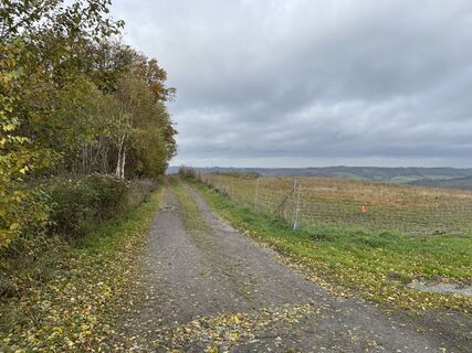 Photo de Sanca le long du parcours