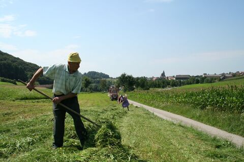Heuarbeiten bei Maria Laach
