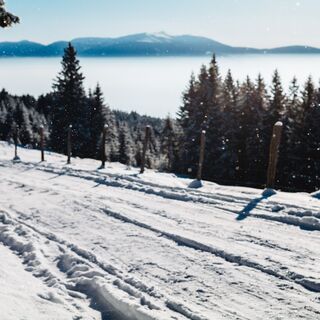 wenn im Tal der Nebel liegt