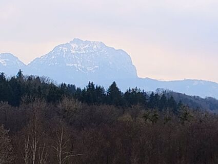Foto von Carinossi entlang der Tour