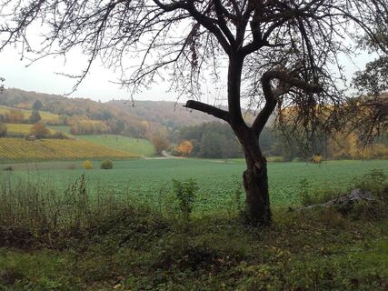 Landschaft bei der Galgenhohle