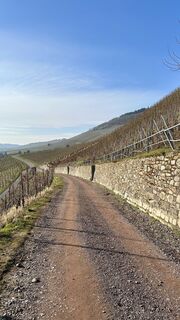 Fotografie de la MM de-a lungul turului