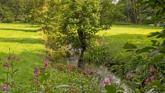 Der Nebenfluss Fintau schlängelt sich durch eine grüne Wiese