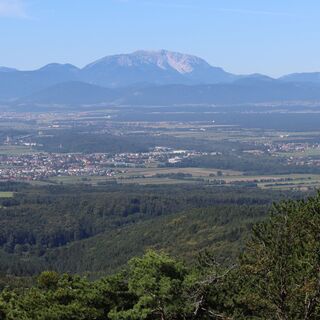 Blick auf das Steinfeld