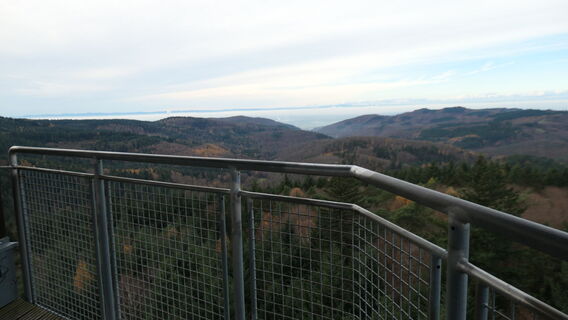 Foto von Arthur Muskalla entlang der Tour