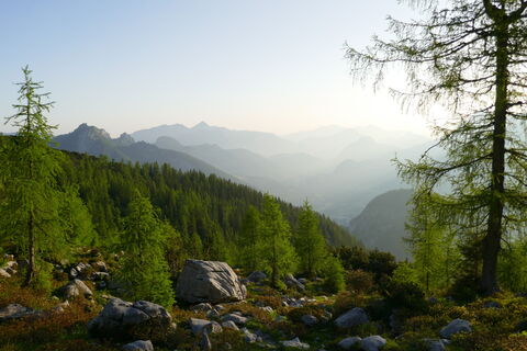 traumhafte Morgenstimmung