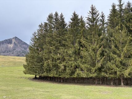 Foto de Robert Sigismund a lo largo del recorrido