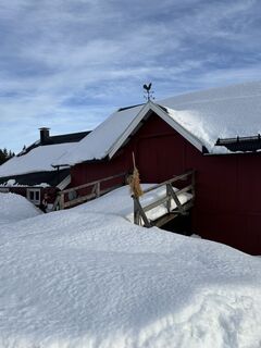 Fotografia z FriluftslivGoat na trase