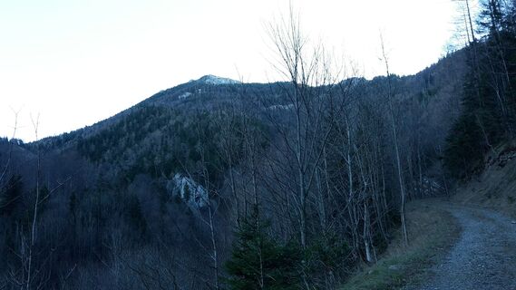 Aufstieg Schindelbachtal