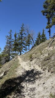 Photo de Tommax le long du parcours