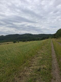 Foto von Eveline Oosterbeek entlang der Tour