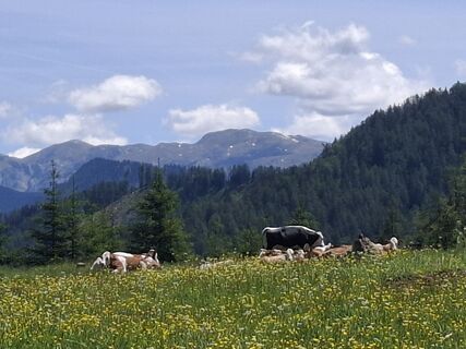 Foto von Roman Brandtner entlang der Tour