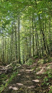 Foto von Grieshofer Gerlinde entlang der Tour