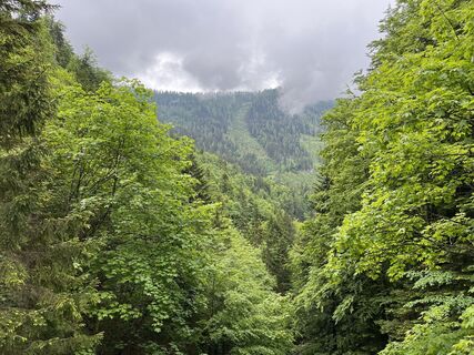 Fotografia z Heinz Sperl na trase