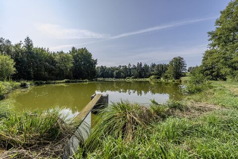 Altweiher bei Pommertsweiler